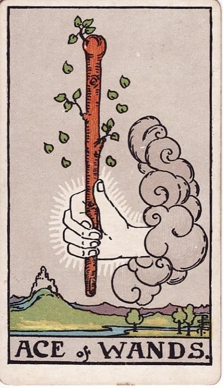 Ace of Wands